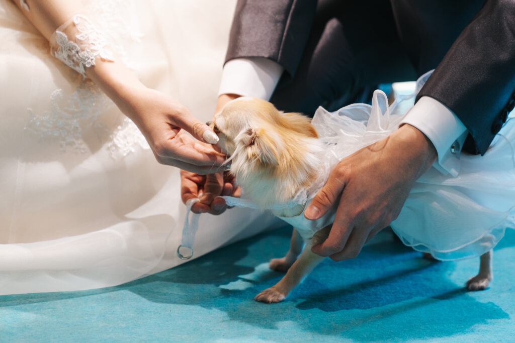 【ペットウエディング】愛犬も一緒の結婚式